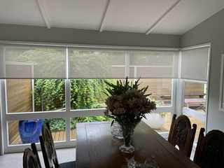 Sunscreen and  light filtering Roller Blinds