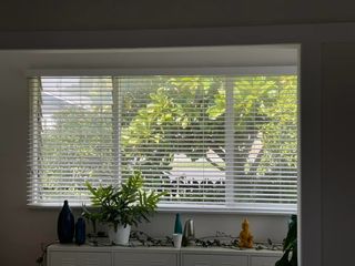 PVC Venetian Blind